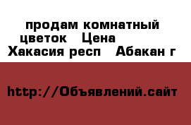 продам комнатный цветок › Цена ­ 1 100 - Хакасия респ., Абакан г.  »    